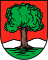 Herb Wałbrzycha. Najlepszy leasing w Wałbrzychu!